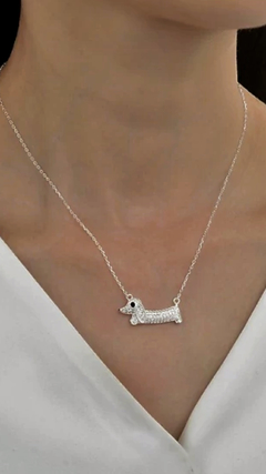Collar salchi en internet