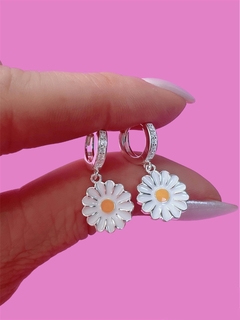Aros daisies