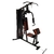 MULTIGIMNASIO EVO 600+ EVOLUTION - comprar online