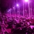 REFLECTOR LED GROW 50W INDOOR CULTIVO - comprar online