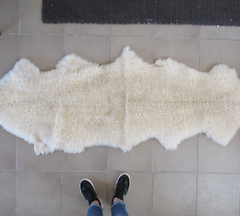 Imagen de Alfombra Patagónica