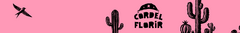 Banner da categoria CORDEL