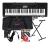 Combo Teclado Casio Ctk 3500 Funda Fuente Soporte Metodo