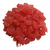 ANANA ROJO EN CUBO - comprar online