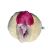 Mini Vulva desmontable
