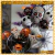 Set de Globos Halloween Nuevo