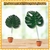 Hojas Decorativas