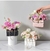 Carteritas Glamour Para Regalo CHICA - comprar online