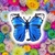 Globo Forma Mariposa Grande - PromoGlobos - Decorando Tus Momentos