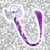Coleta con Trenza y Aplique Niña - comprar online