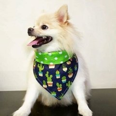 Bandana Cactos na internet