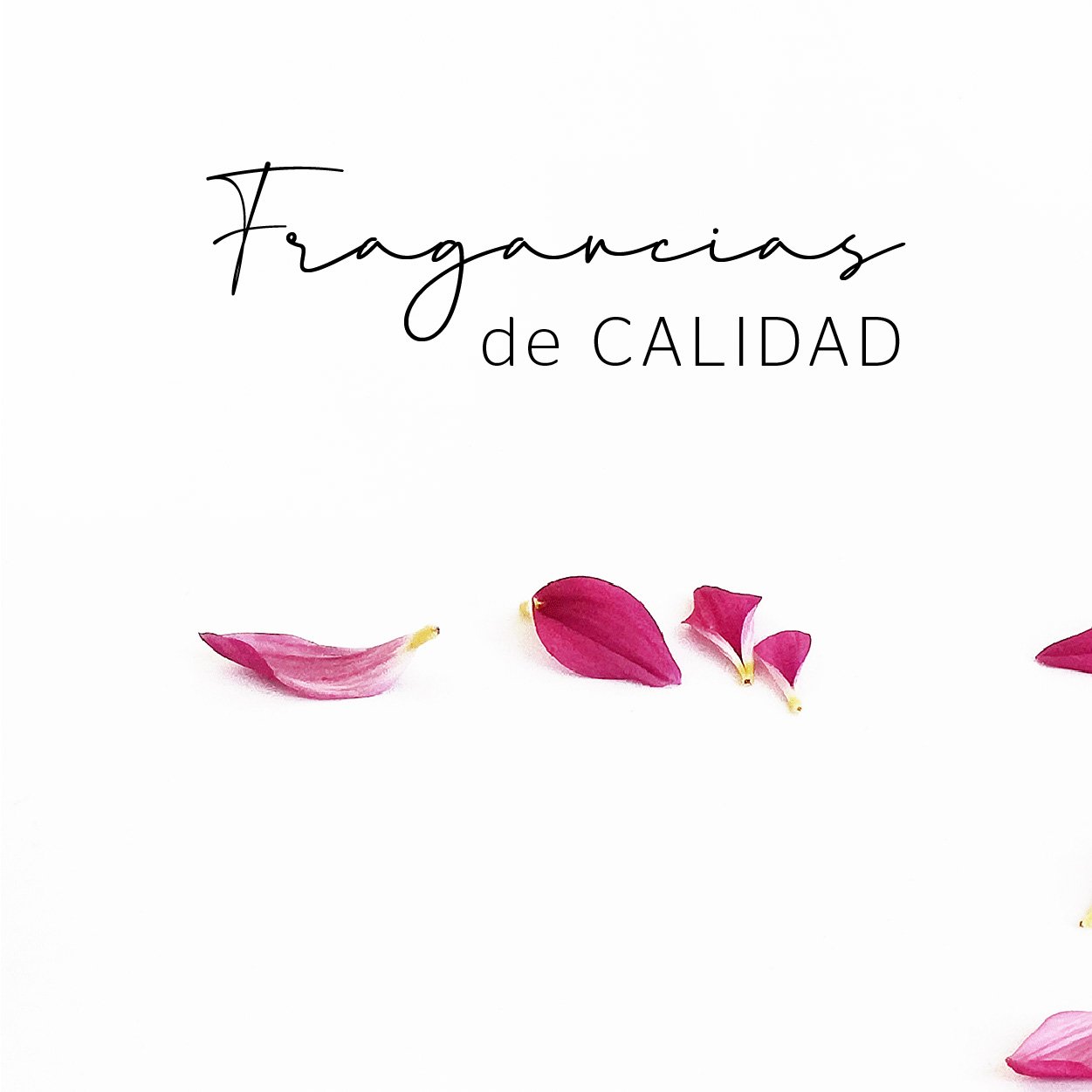 Banner de cheche velas