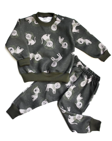 Conjunto leon