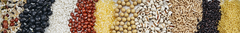 Banner da categoria Limpeza, Classificação e Revestimento de Sementes/Grãos