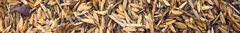 Banner da categoria Debulha, Descasque e Polimento