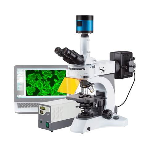 Microscópios Biológicos Trinocular CB800T-FL-LED ICOE com Epi-Fluorescência LED, Ótica Infinita e Iluminação Kohler para Pesquisa Avançada - comprar online