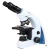 Microscópios Ergonômicos ICOE IC2100-ERG: Binocular Lateral, Ótica Plana, LED, Kohler, até 2000x - comprar online