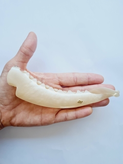 Banana Seahorse Madrepérola Grande Bianca - comprar online