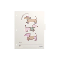 SEPARADORES MOOVING PETS 1101281 - Mundo Guri