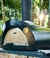 Imagem do Forno de Pizza a Lenha