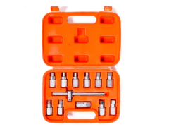 Kit de extractores de tapones de 12 Piezas Hamilton