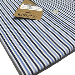 Camisa Vestir * Scotfield * Puro Algodón Regular Fit