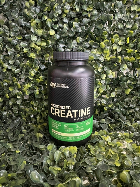 ON Optimum Nutrition Creatina Micronizada