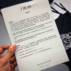 DIOR x NIKE AIR JORDAN I na internet