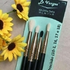 kit de pinceis de esfumar e precisão delta - Le vangee
