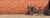 Imagem do banner rotativo FREICON 