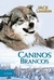 CANINOS BRANCOS - JACK LONDON