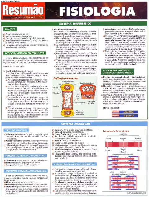 Fisiologia
