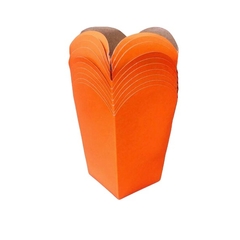 POCHOCLERA NARANJA x10