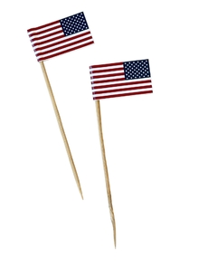 PINCHES BANDERA EEUU