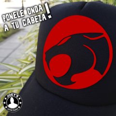 Thunderscats en internet